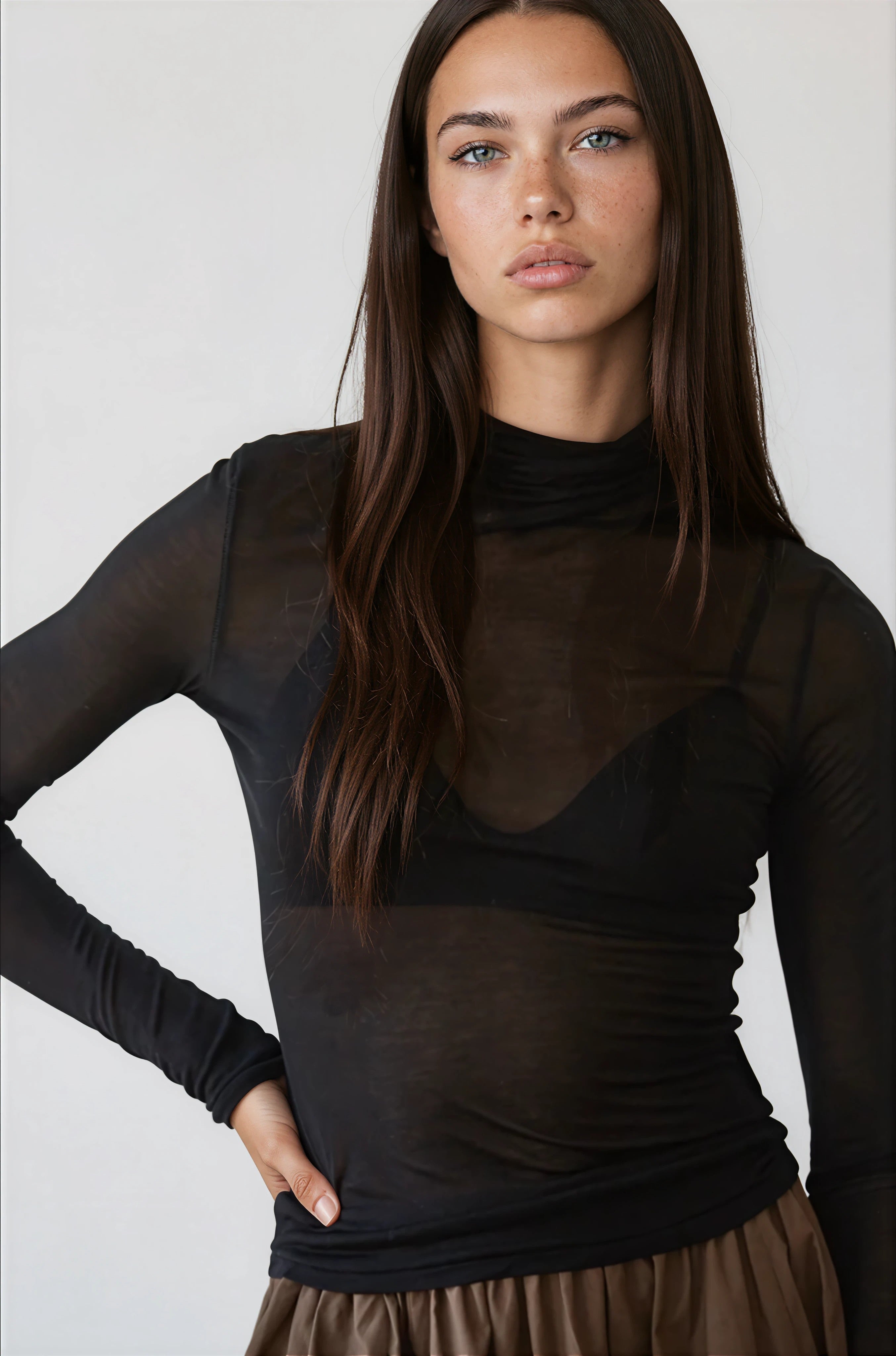 Sheer Turtleneck
