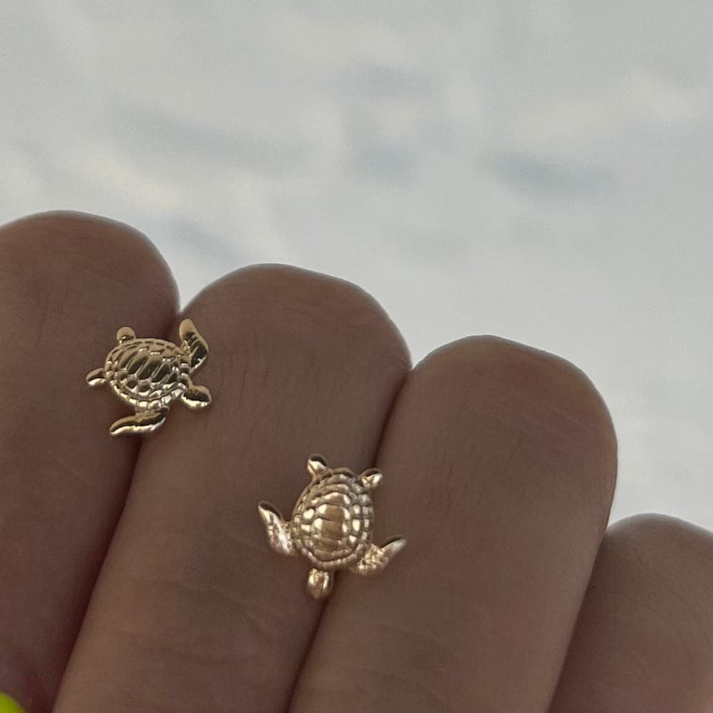 SEA TURTLE STUDS