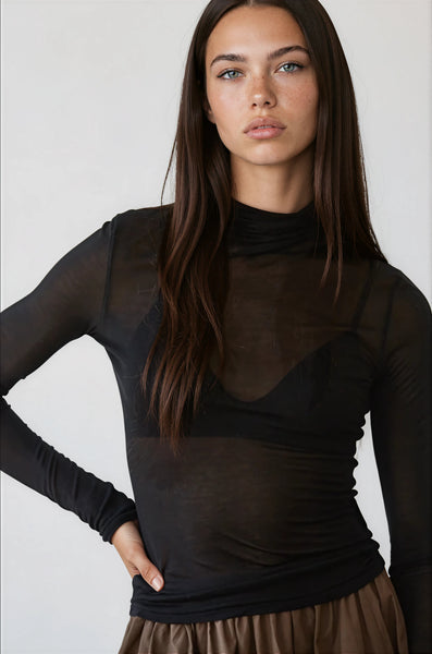 Sheer Turtleneck | Kasa Karly