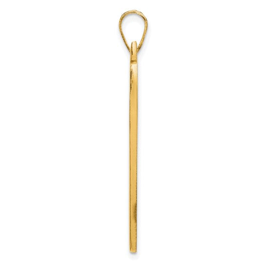 PICTURE PENDANT